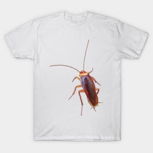 Creepy crawly cockroach. Realistic illustration of cockroach. Cockroach artwork. Unique gift. T-Shirt